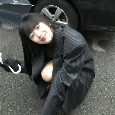 鲨与鲸